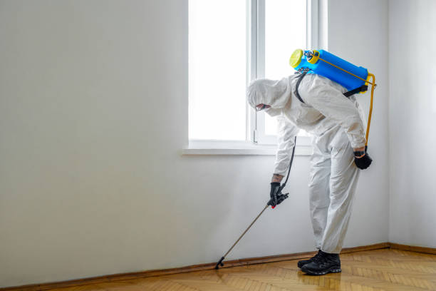 Best Pest Control Treatment  in Johnston, SC