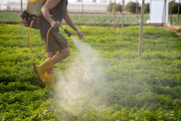 Best Pest Control Near Me in Johnston, SC