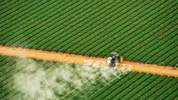 Best Ant Control Services  in Johnston, SC