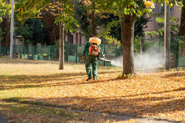 Best Rat Extermination Near Me  in Johnston, SC