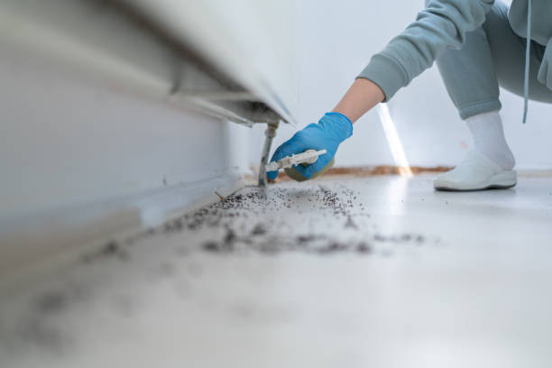 Johnston, SC Pest Control Company
